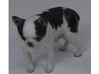 Scanned Chihuahua Dog -891 3d printed 