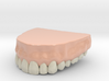 3D Teeth top 3d printed 