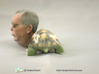 Sen.Mitch McConnell (R-Ky.) Turtle Inaction Figure 3d printed 