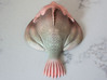The Bottom Feeding Blobfish 3d printed Splat.