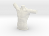 Male torso 3d printed 