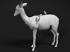 Impala 1:22 Female with Red-Billed Oxpeckers 3d printed 