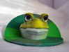 Bachelor Frog 3d printed 