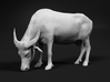 Domestic Asian Water Buffalo 1:20 Grazing  Female 3d printed 