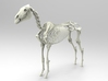 Horse Skeleton Sculpture 1:9 3d printed Horse Skeleton Render