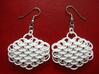 Dragonscale earrings 3d printed Photo - de-powdered