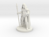 Male Elf Sorcerer with  Diamond Staff 3d printed 