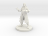 Human Wizard with Pot Belly 3d printed 