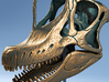 Giraffatitan - dinosaur skull replica 3d printed Modelled from scientific reference