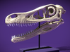 Velociraptor - dinosaur skull replica 3d printed 3D render