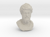 Marcus Aurelius 3d printed 