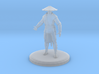 Raiden (MKX) 3d printed 