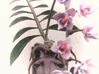 Imperial Moth Orchid in Maneki Neko Planter, 220mm 3d printed 