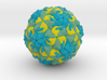 Rhinovirus Serotype 16 3d printed 