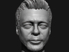 Benicio Del Toro portrait head  3d printed 
