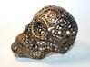 Nautilus Sugar Skull - MEDIUM 3d printed Antique Bronze