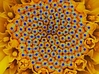 Fibonacci Sphere, large 3d printed See Wikipedia: Fibonacci Number