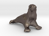 Sea Lion 3d printed 