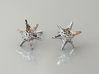 Sea Star Earrings 3d printed 