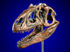 Allosaurus - dinosaur skull replica 3d printed Product photo