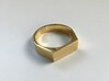Seal Ring (gold/silver) 3d printed Ring