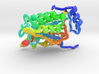 Interleukin-1β Converting Enzyme (ICE) 3d printed 