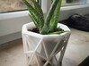 Geometrical Planter 3d printed Works well with aloe.
