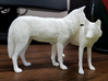 North American Gray Wolf 3d printed The other pose may be available soon!