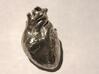 Real Anatomical Heart Hollow 3d printed 