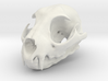 Bobcat Skull - Closed Jaw Statue 3d printed 