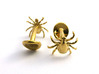 Tick Cufflinks - Nature Jewelry 3d printed Tick cufflinks in polished brass