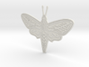 Pretty Moth 3d printed 