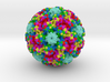 Human Papillomavirus (HPV) 3d printed 