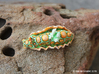 Mino the Batwing Nudibranch 3d printed Hand Painted White Strong & Flexible Polished