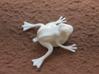 5 Jumping Frogs 3d printed 