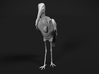 Marabou Stork 1:64 Standing 3d printed 