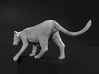 Lion 1:16 Cub reaching for something 3d printed 