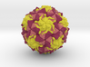 Polio Virus 3d printed 