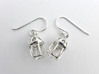 Tintinnid Dictyocysta Lepida Earrings 3d printed Tintinnid Dictyocysta lepida earrings in polished silver