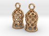 Tintinnid Dictyocysta Mitra Earrings 3d printed 