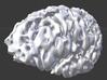 Brain MRI 3d printed 