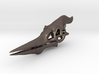 Pteranodon Skull 3d printed 