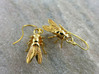Drosophila Fruit Fly Earrings - Science Jewelry 3d printed Drosophila earrings in 14K gold plated brass