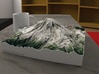 Mt. Rainier, Washington, USA, 1:50000 Explorer 3d printed 