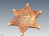 15 X Law enforcement Guild Star 20mm. 3d printed 
