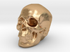 Skull 3DXS 3d printed 