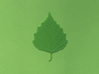 Birch tree leaf 3d printed 
