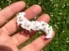 Kleinian Snake 2 - small 3d printed White Strong and Flexible