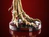 Tyrannosaurus - dinosaur foot replica 3d printed Actual photo of product