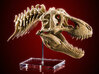 Tyrannosaurus - dinosaur skull and neck vertebrae 3d printed Actual photo